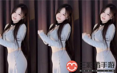 欧美人动物PPT免费模板大全