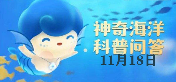 红树林被称为大海的“幼儿园”，主要是因为